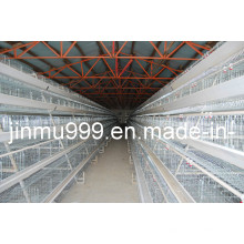 une cage de poulet de type cage d&#39;élevage de volaille automatique